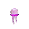 NeeDoh® Jelly Squish
